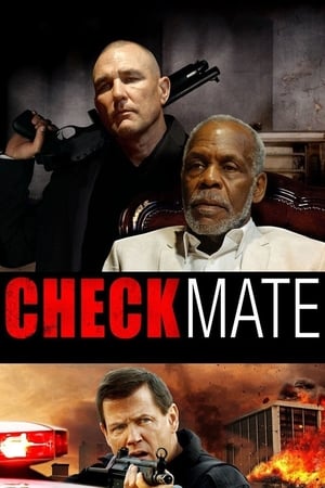 Checkmate (2015) 300MB Hindi Dual Audio Bluray Download