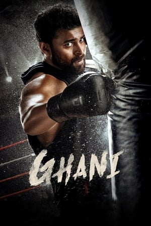 Ghani 2022 Hindi (HQ DUB) HDRip 720p – 480p