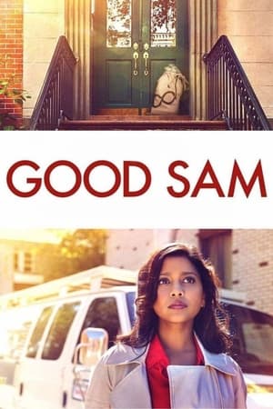 Good Sam 2019 Hindi Dual Audio 720p Web-DL [820MB]