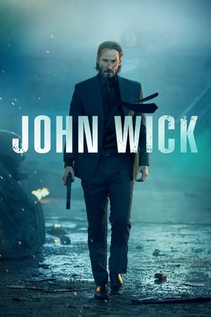 John wick 2014 100mb Hindi Dual Audio movie Hevc BRRip Download